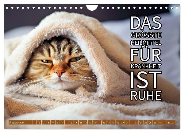 Gute Besserung - mit coolen Sprüchen (Wandkalender 2027 DIN A4 quer), CALVENDO Monatskalender