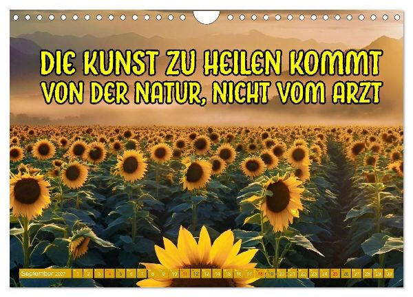 Gute Besserung - mit coolen Sprüchen (Wandkalender 2027 DIN A4 quer), CALVENDO Monatskalender