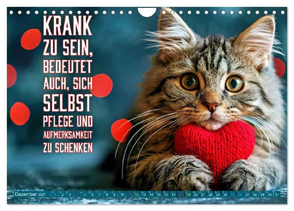 Gute Besserung - mit coolen Sprüchen (Wandkalender 2027 DIN A4 quer), CALVENDO Monatskalender