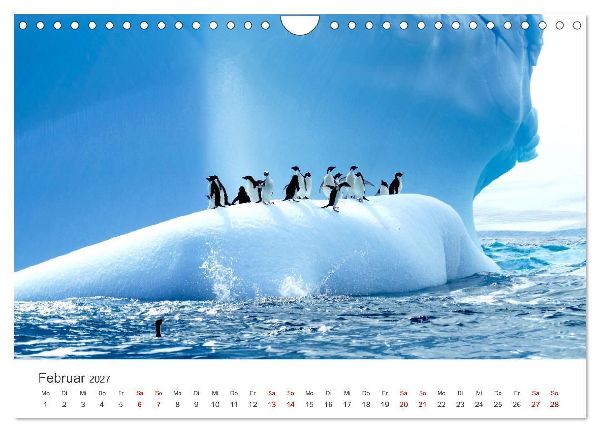 Kreuzfahrtpiraten (Wandkalender 2027 DIN A4 quer), CALVENDO Monatskalender