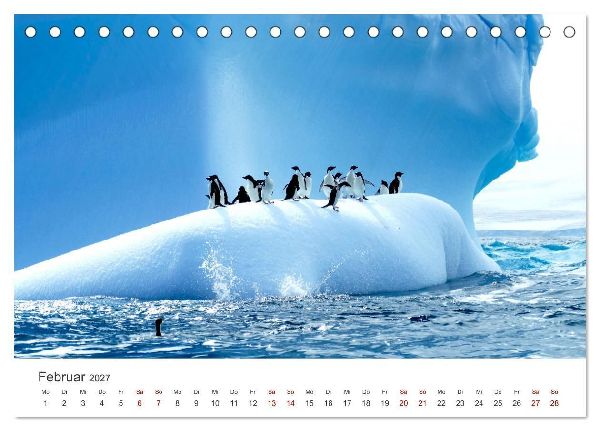 Kreuzfahrtpiraten (Tischkalender 2027 DIN A5 quer), CALVENDO Monatskalender