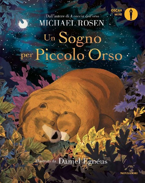 Un sogno per Piccolo Orso