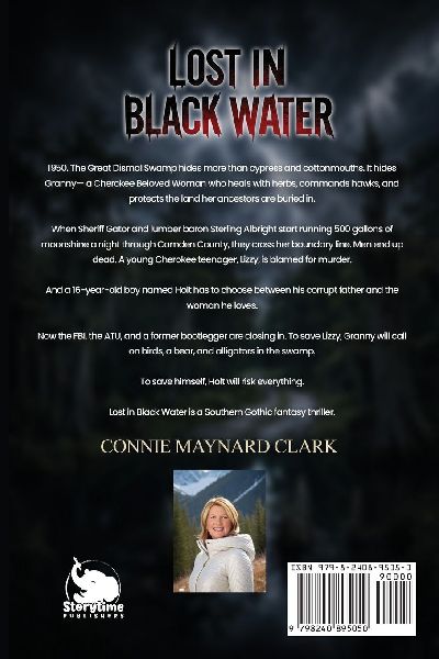 Lost In Black Water