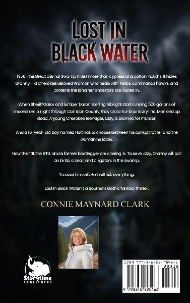 Lost In Black Water