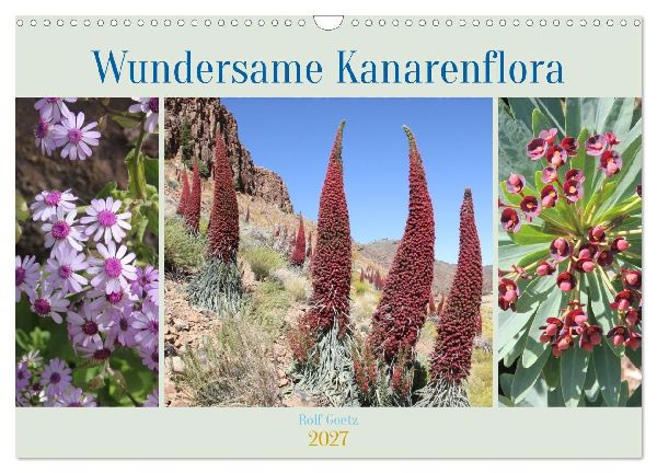 Wundersame Kanarenflora (Wandkalender 2027 DIN A3 quer), CALVE...