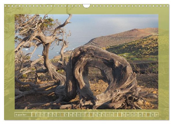 Wundersame Kanarenflora (Wandkalender 2027 DIN A3 quer), CALVENDO Monatskalender