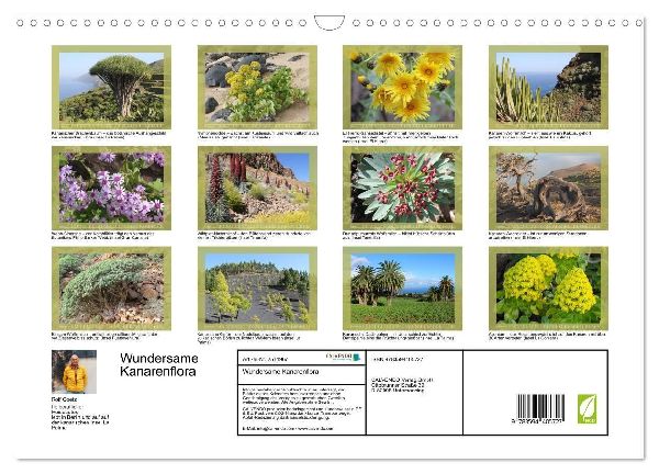 Wundersame Kanarenflora (Wandkalender 2027 DIN A3 quer), CALVENDO Monatskalender