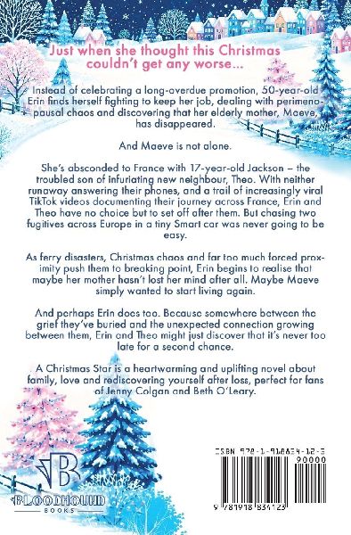 The Christmas Star