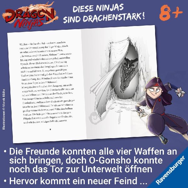 Dragon Ninjas, Band 5 - Der Drache der Schatten