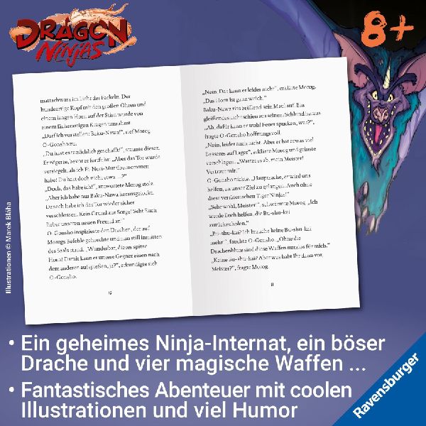 Dragon Ninjas, Band 5 - Der Drache der Schatten