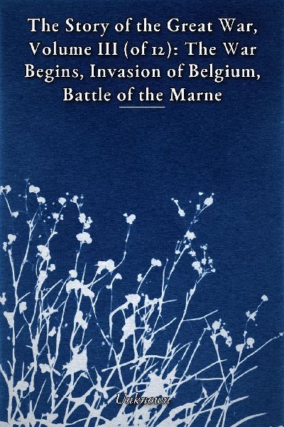 The Story of the Great War, Volume III (of 12)