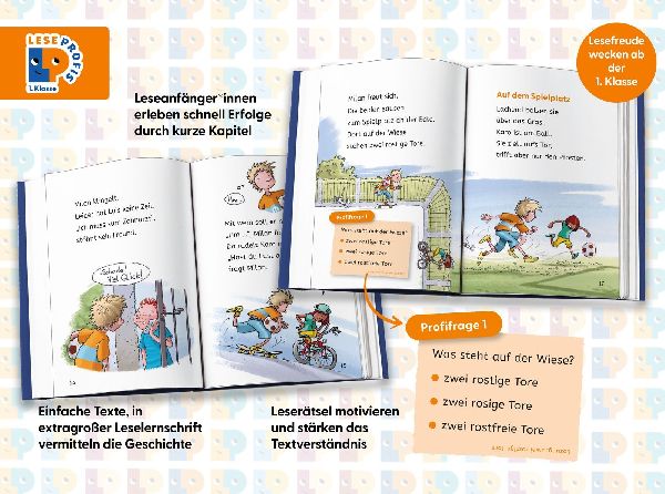 Leseprofis - Voll im Fußballfieber!, 1. Klasse (Doppelband)