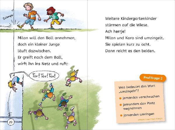 Leseprofis - Voll im Fußballfieber!, 1. Klasse (Doppelband)