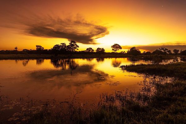 Pantanal