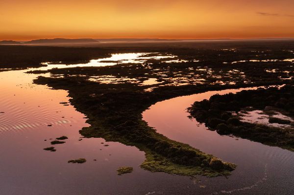 Pantanal