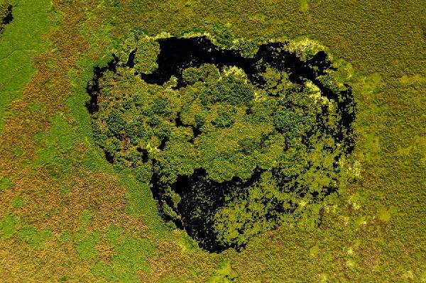 Pantanal