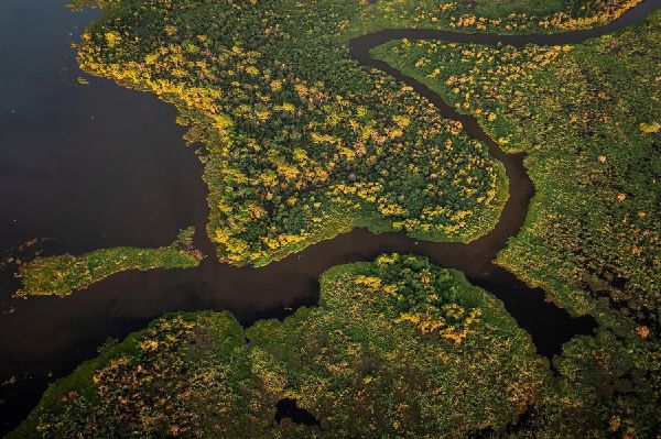 Pantanal