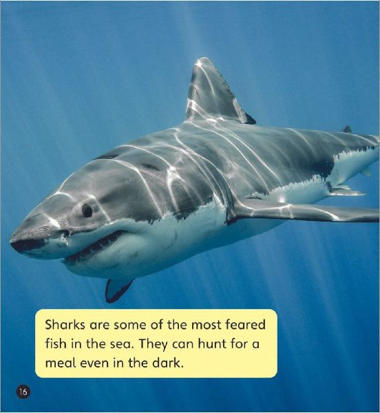 Real-life Monsters (Set 10)