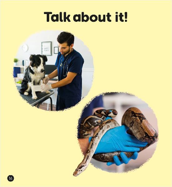 The Job of a Vet (Set 4)