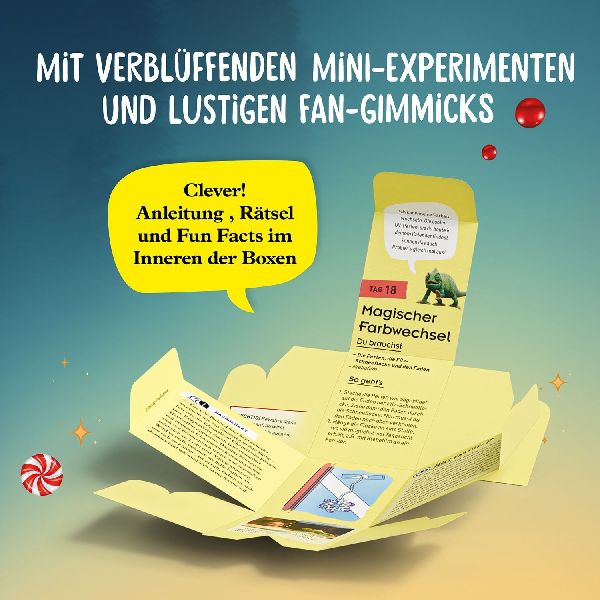 Adventskalender - Die Schule der magischen Tiere - der Film