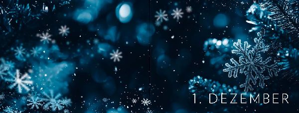 My Frozen Memories