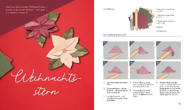 Origami-Winter-Flowers - Wunderschöne Blüten & Sterne zum Dekorieren & Verschenken