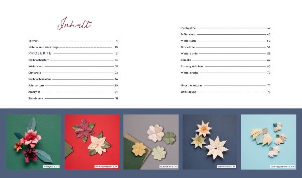 Origami-Winter-Flowers - Wunderschöne Blüten & Sterne zum Dekorieren & Verschenken