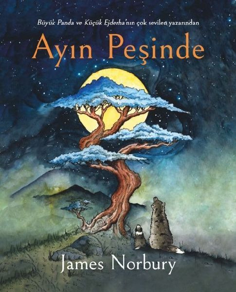 Ayin Pesinde Ciltli