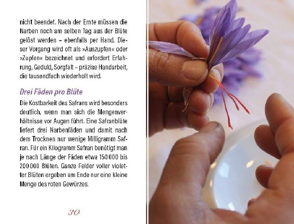 Safran