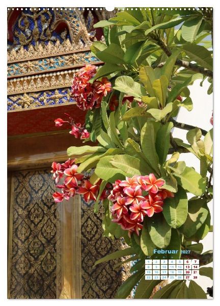 Bangkoks Tempel - Goldene Pagoden und safrangelbe Roben (hochwertiger Premium Wandkalender 2027 DIN A2 hoch), Kunstdruck in Hochglanz