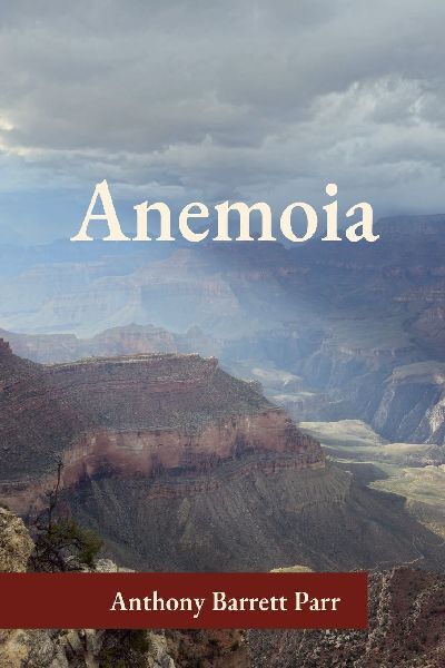Anemoia