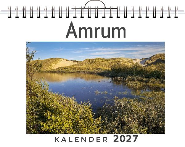 Amrum
