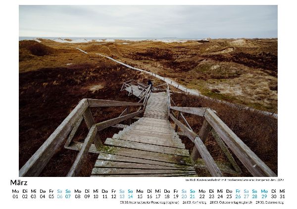 Amrum