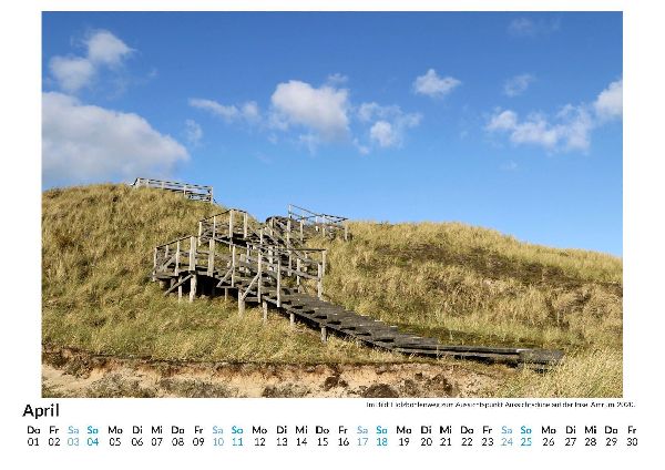 Amrum