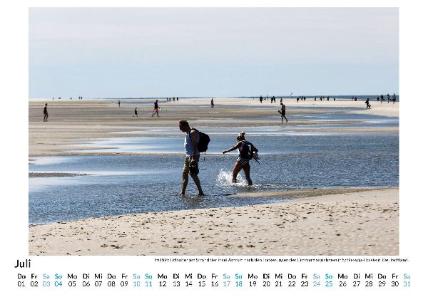 Amrum