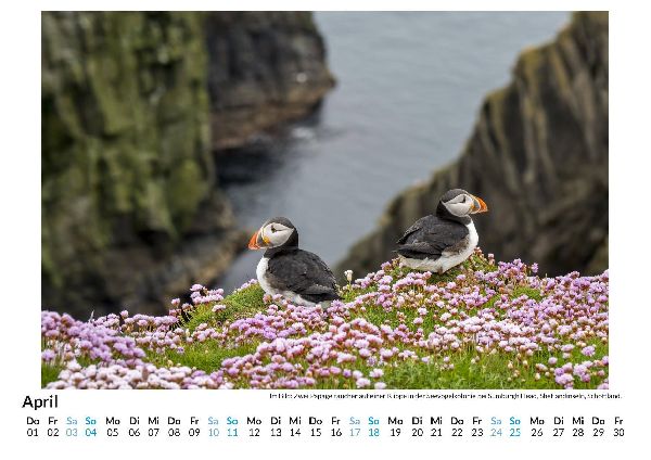 Orkney Inseln