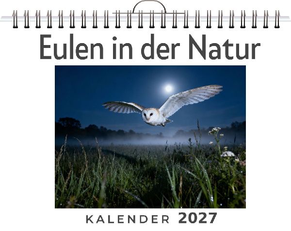 Eulen in der Natur