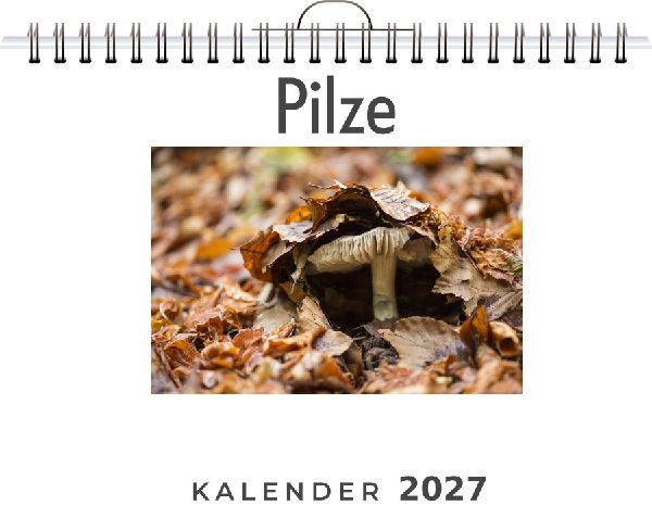 Pilze