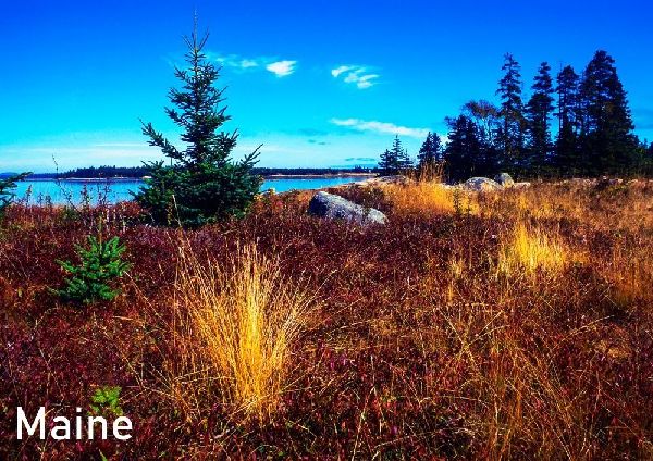 Maine