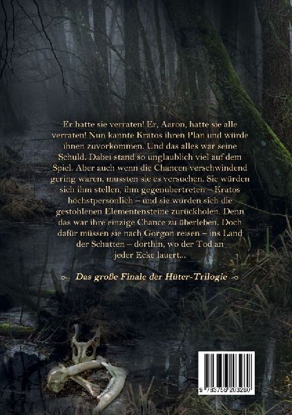Die Hüter der vier Elemente