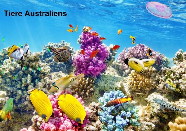 Tiere Australiens