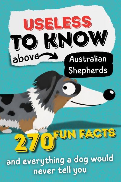 Useless Knowledge About Australian Shepherds
