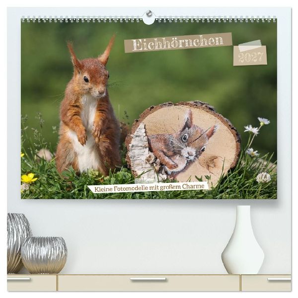 Eichhörnchen - Kleine Fotomodelle mit großem Charme (hochwer...