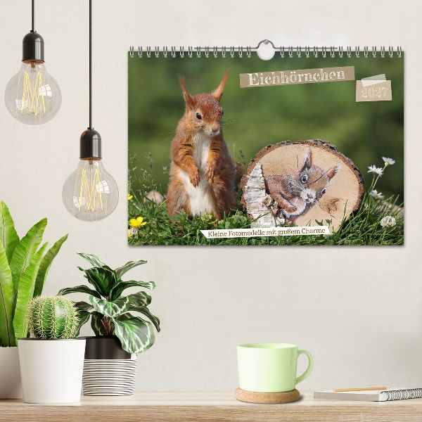 Eichhörnchen - Kleine Fotomodelle mit großem Charme (Wandkalender 2027 DIN A4 quer), CALVENDO Monatskalender