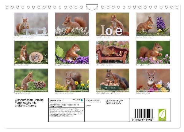 Eichhörnchen - Kleine Fotomodelle mit großem Charme (Wandkalender 2027 DIN A4 quer), CALVENDO Monatskalender