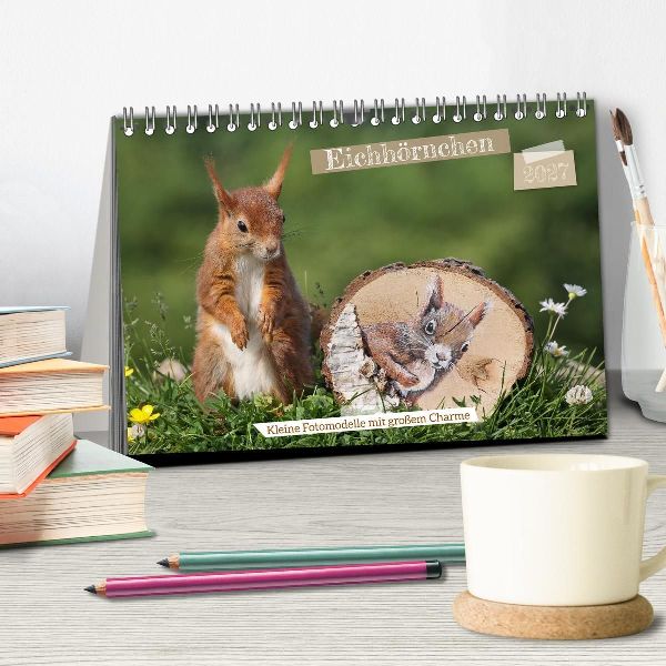 Eichhörnchen - Kleine Fotomodelle mit großem Charme (Tischkalender 2027 DIN A5 quer), CALVENDO Monatskalender