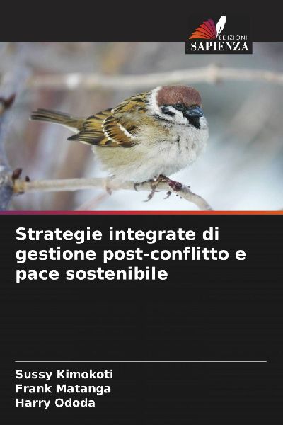 Strategie integrate di gestione post-conflitto e pace sostenibile