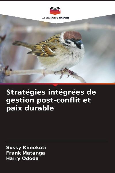Stratégies intégrées de gestion post-conflit et paix durable