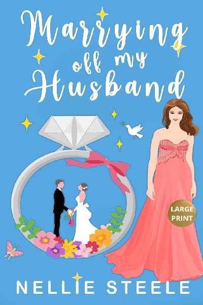 Marrying Off My Husband