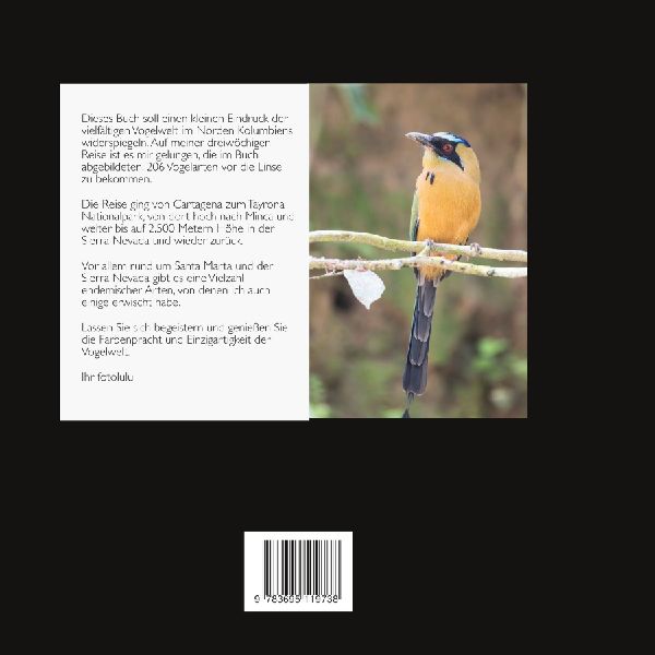Birds of north Columbia